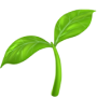 plant plant