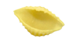 Conchiglie