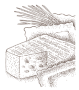 LIORAVI_MAROILLES2 LIORAVI_MAROILLES2