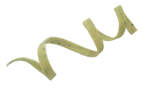 Tagliatelle Basilic Tagliatelle Basilic