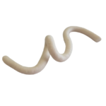 Udon_1 détouré Udon_1 détouré